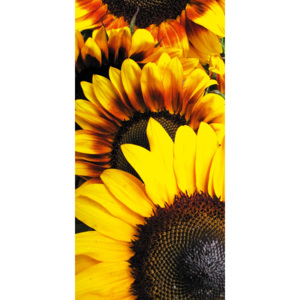 Dimex FL-85-005 Samolepící fototapeta na podlahu Sunflowers 85x170cm