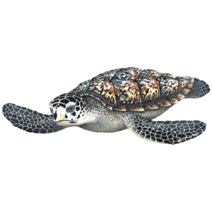 Samolepící dekorace Mořská želva