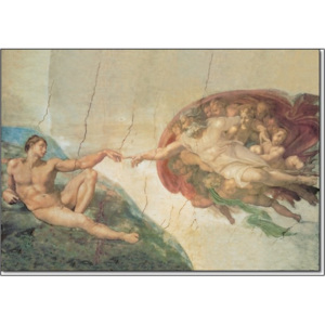Obraz, Reprodukce - Zrození Adama, Michelangelo Buonarroti, (100 x 50 cm)