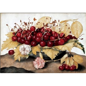 Obraz, Reprodukce - Třešně a karafiáty - Cherries and Carnations, Garzoni, (70 x 50 cm)