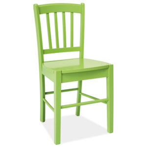 Jídelní dřevěná židle MERVIN zelená