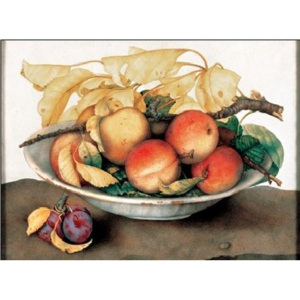 Obraz, Reprodukce - Mísa s broskvemi a švestkami, Garzoni, (70 x 50 cm)