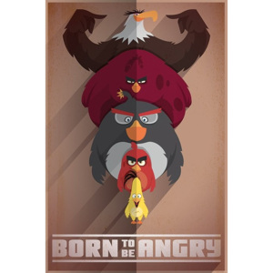 Plakát, Obraz - Angry Birds - Born to be Angry, (61 x 91,5 cm)