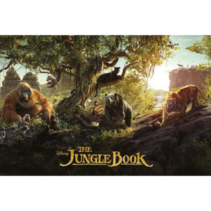 Plakát, Obraz - Kniha Džunglí - Panorama, (91,5 x 61 cm)