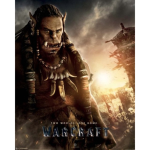 Plakát, Obraz - Warcraft: První střet - Durotan, (40 x 50 cm)