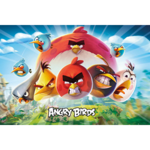 Plakát, Obraz - Angry Birds - Keyart, (91,5 x 61 cm)