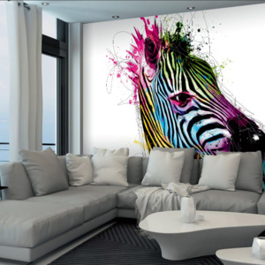 Velkoformátová tapeta Barevná zebra, 366 x 254 cm