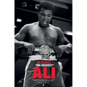 Plakát, Obraz - Muhammad Ali - Belt, (61 x 91,5 cm)