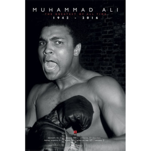 Plakát, Obraz - Muhammad Ali - Greatest, (61 x 91,5 cm)