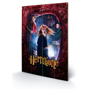 Dřevěný obraz Harry Potter - Hermione, (40 x 59 cm)