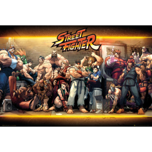 Plakát, Obraz - Street Fighter - Characters, (91,5 x 61 cm)