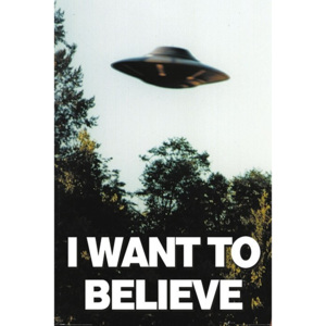 Plakát, Obraz - The X-Files - I Want To Believe, (61 x 91,5 cm)