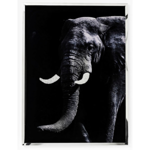 Nástěnná dekorace Elephant Face 73x97cm