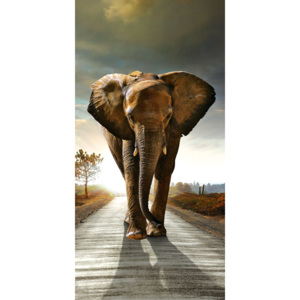 Vliesová fototapeta Dimex Kráčející slon S-508 | 110x220 cm