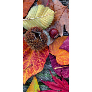 Vliesová fototapeta Dimex Podzimní listí S-535 | 110x220 cm