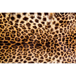 Vliesová fototapeta Dimex Leopardí kůže XL-558 | 330x220 cm