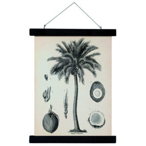 Plátěný obraz s rámem Palm Tree M