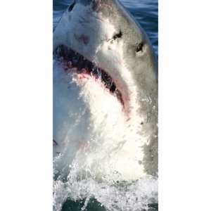 Vliesová fototapeta Dimex Žralok S-183 | 110x220 cm