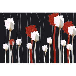 Vliesová fototapeta Dimex Červenobílé květy na černém pozadí XL-323 | 330x220 cm