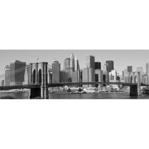 Vliesová fototapeta Dimex Manhattan šedý M-303 | 330x110 cm