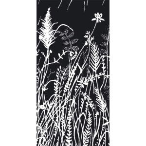 Vliesová fototapeta Dimex Bílá tráva na černém pozadí S-325 | 110x220 cm