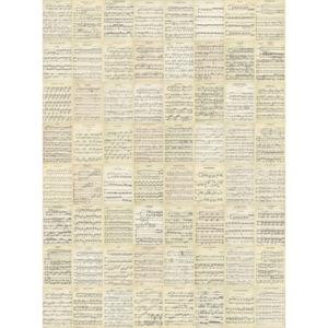 Fototapeta, Tapeta Hudba - Music Notes, (1760 x 37,5 cm)