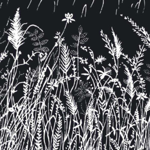 Vliesová fototapeta Dimex Černá tráva L-338 | 220x220 cm