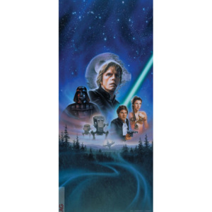 Papírová fototapeta Star Wars FTDV-1841, rozměry 90 x 202 cm