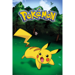 Plakát, Obraz - Pokemon - Pikachu Catch, (61 x 91,5 cm)
