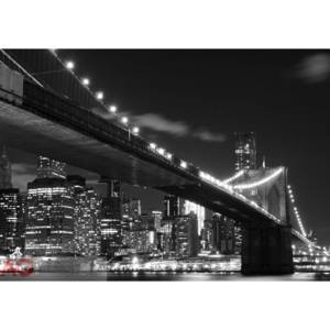Fototapeta AG Most v Brooklynu FTS-1305 | 360x254 cm