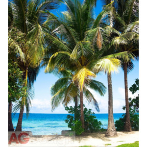 Fototapeta AG Palm beach FTNXL-2510 | 180x202 cm
