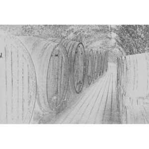 Vliesová fototapeta Dimex Sudy s vínem černobílá kresba painting black XL-319 | 330x220 cm