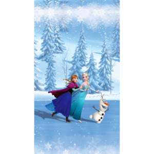 Dekorační foto závěs Frozen on ice FCSL7105, rozměry 140 x 245 cm