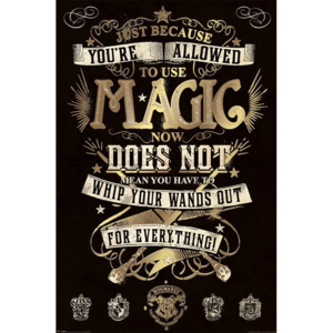 Plakát, Obraz - Harry Potter - Magic, (61 x 91,5 cm)