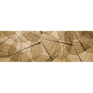 Vliesová fototapeta Dimex Hnědé žilky listů M-484 | 330x110 cm