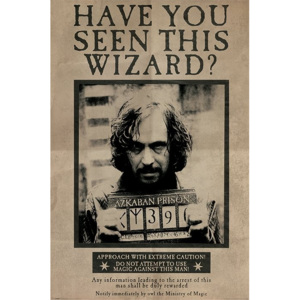 Plakát, Obraz - Harry Potter - Wanted Sirius Black, (61 x 91,5 cm)