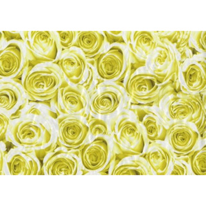 Samolepící tapety růže žluté 45 cm x 15 m