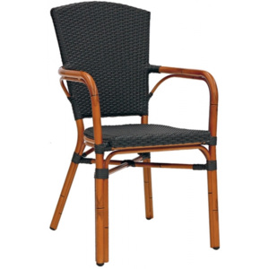 Zahradní židle R719