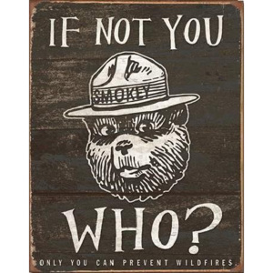 Plechová cedule SMOKEY BEAR - If Not You, (31,5 x 40 cm)