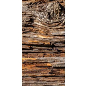 DIMEX S-551 Vliesové fototapety na zeď Kůra stromu | 110 x 220 cm béžová, hnědá vliesová fototapeta na stěnu