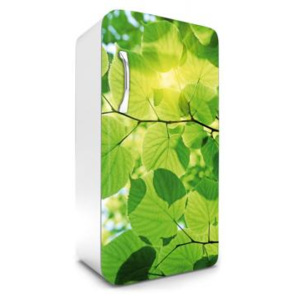 FR-120-009 Samolepicí fototapety na lednici Listy | 65 x 120 cm | zelená