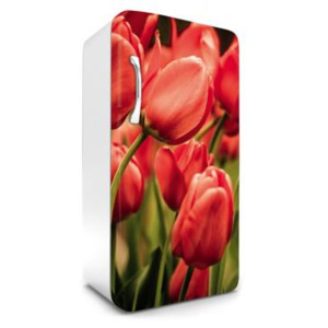 FR-120-012 Samolepicí fototapety na lednici Červené tulipány | 65 x 120 cm | červená, zelená
