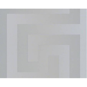 A.S. Création 93523-5 tapety na zeď Versace | 0,70 x 10,05 m | stříbrná vliesová tapeta na stěnu 935235