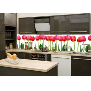 DIMEX KI-260-058 Fototapeta do kuchyně Tulipány | 260 x 60 cm zelená, červená samolepicí fototapeta na kuchyňskou linku