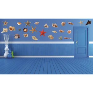Samolepka na zeď- Mušle a mořské hvězdice