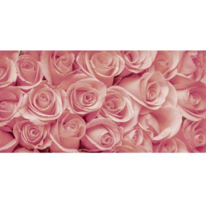 CTI-C-022 Obklad Růže | 120 x 60 cm | růžová