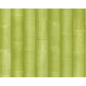 A.S. Création 96184-3 tapety na zeď New England 2 | 0,53 x 10,05 m | zelená vliesová tapeta na stěnu 961843