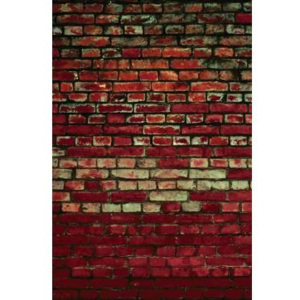 CTI-L-040 Obklad Cihlová zeď | 80 x 120 cm | béžová, červená