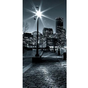 S-452 Vliesové fototapety na zeď Boston | 110 x 220 cm | černobílá