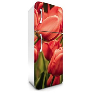 FR-180-012 Samolepicí fototapety na lednici Červené tulipány | 65 x 180 cm | zelená, červená